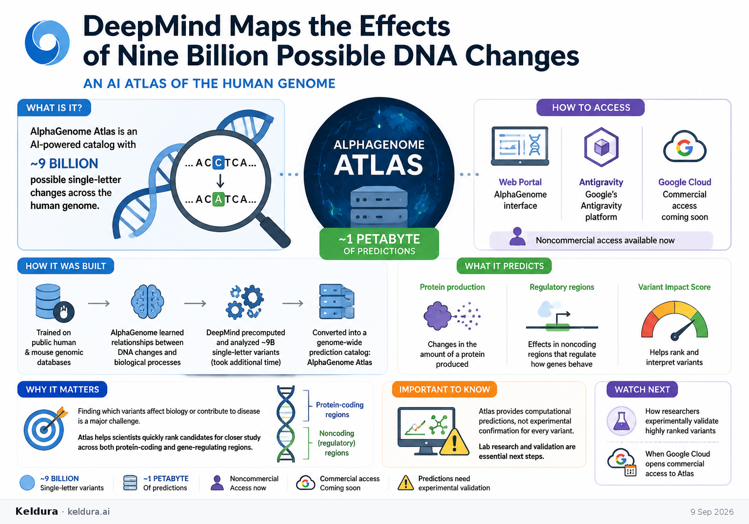 Visual Cheatsheet Version A for DeepMind Maps the Effects of Nine Billion Possible DNA Changes. Full text follows for assistive technology.