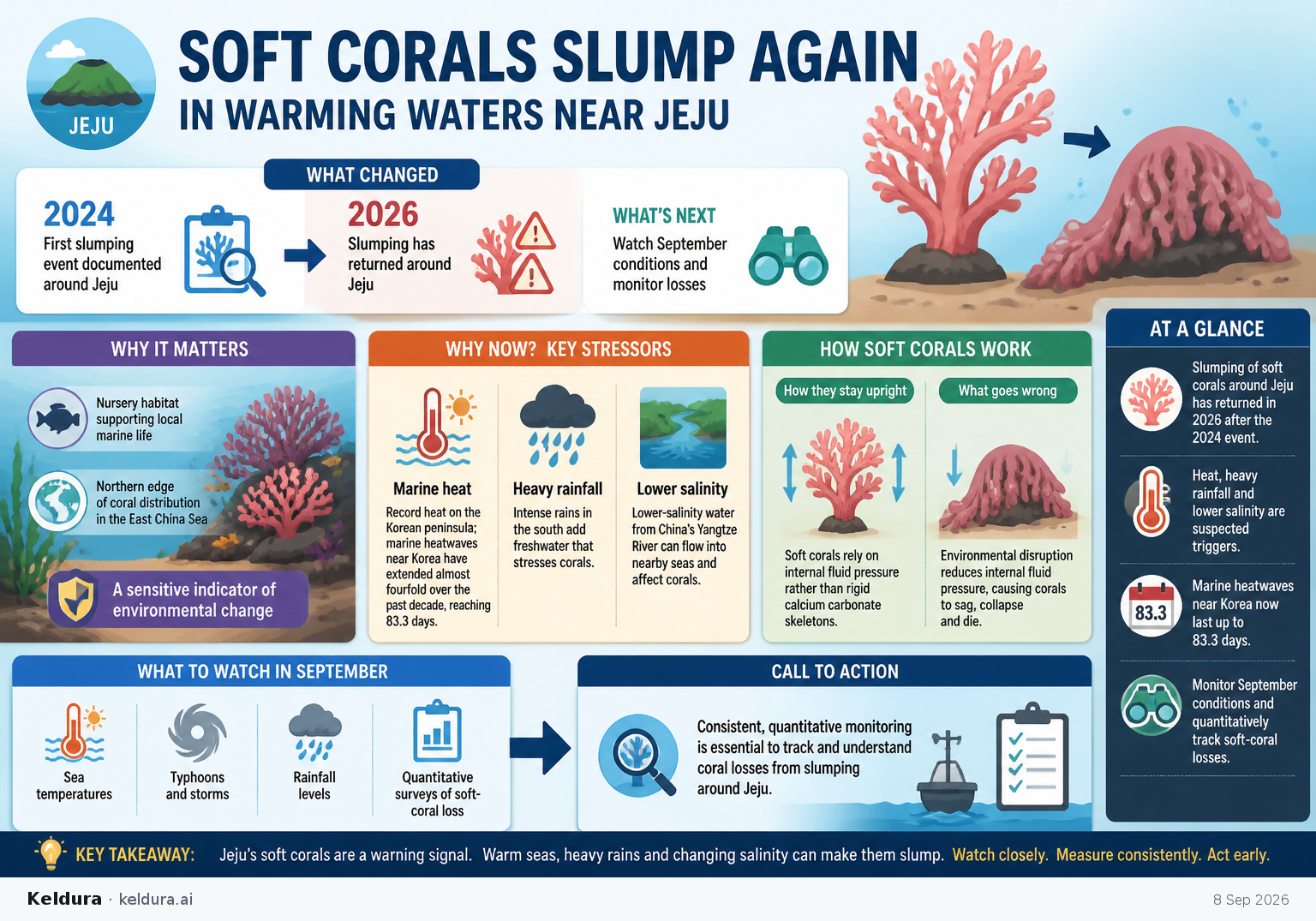 Visual Cheatsheet Version A for Soft corals slump again in warming waters near Jeju. Full text follows for assistive technology.