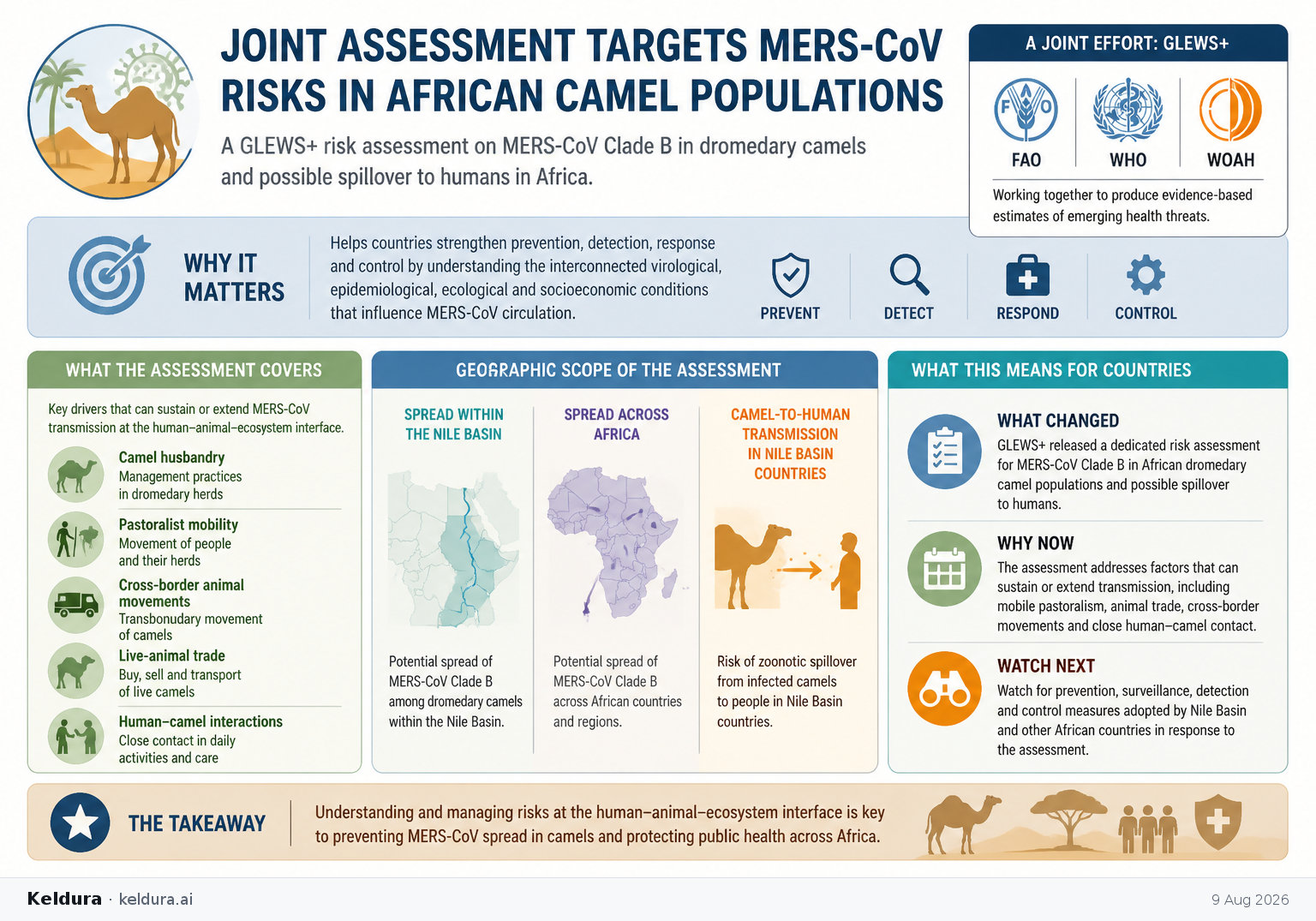 Visual Cheatsheet Version A for Joint assessment targets MERS-CoV risks in African camel populations. Full text follows for assistive technology.