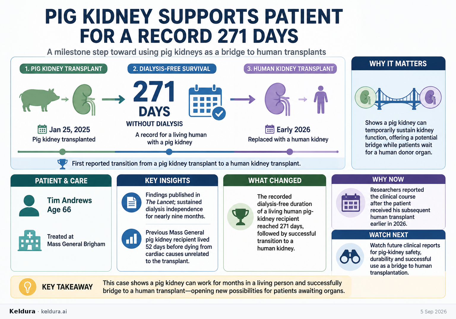 Visual Cheatsheet Version A for Pig kidney supports patient for a record 271 days before human transplant. Full text follows for assistive technology.