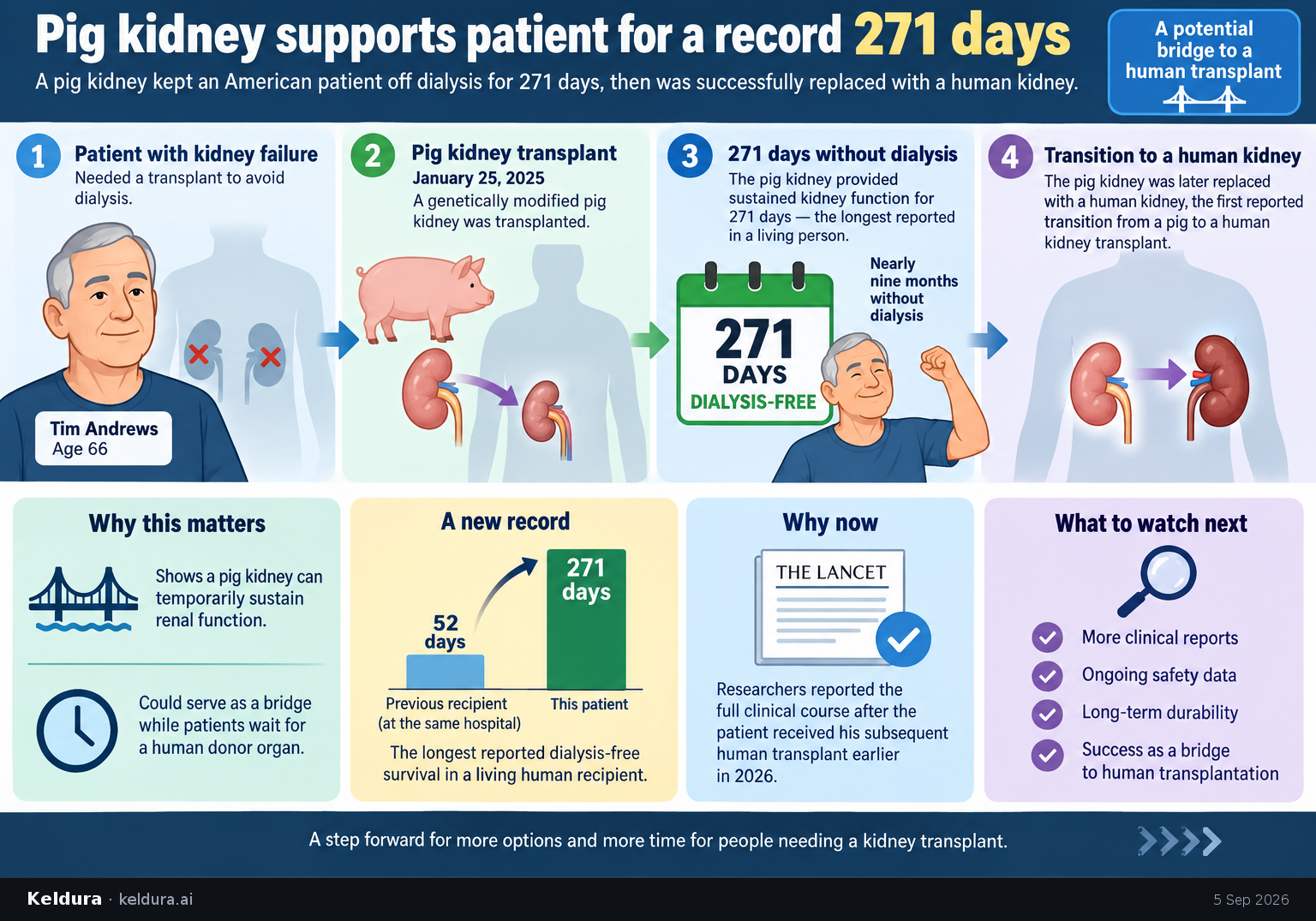 Visual Cheatsheet Version A for Pig kidney supports patient for a record 271 days before human transplant. Full text follows for assistive technology.