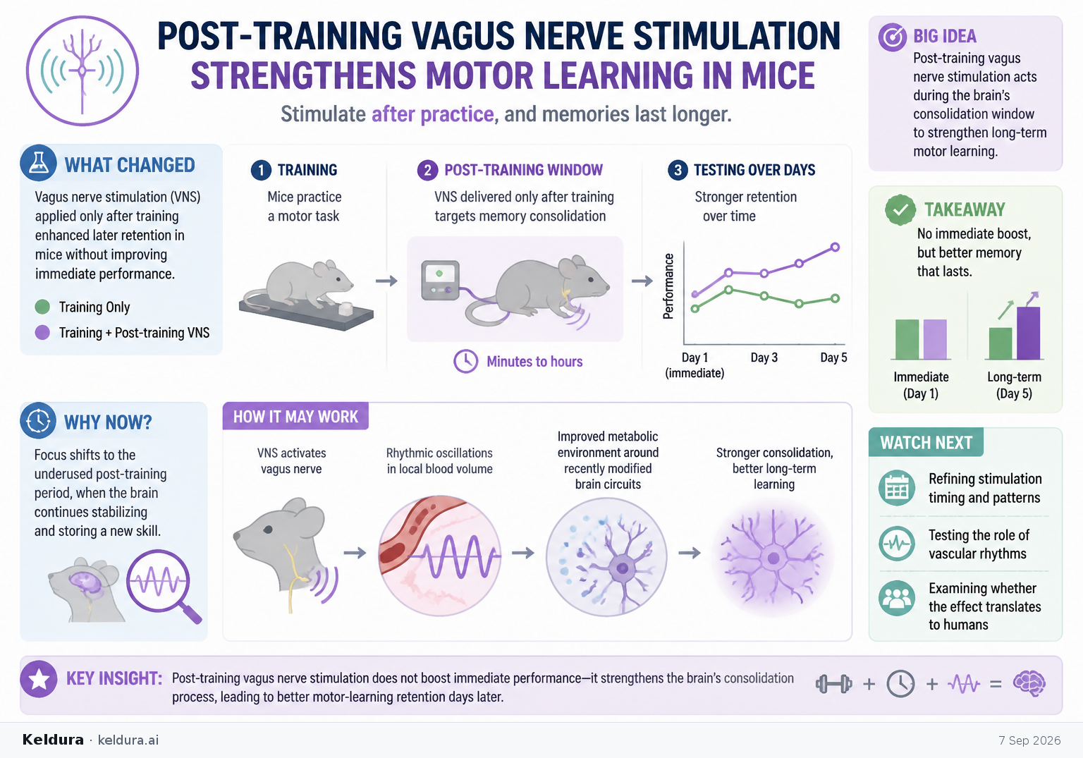 Visual Cheatsheet Version A for Post-training vagus nerve stimulation strengthens motor learning in mice. Full text follows for assistive technology.