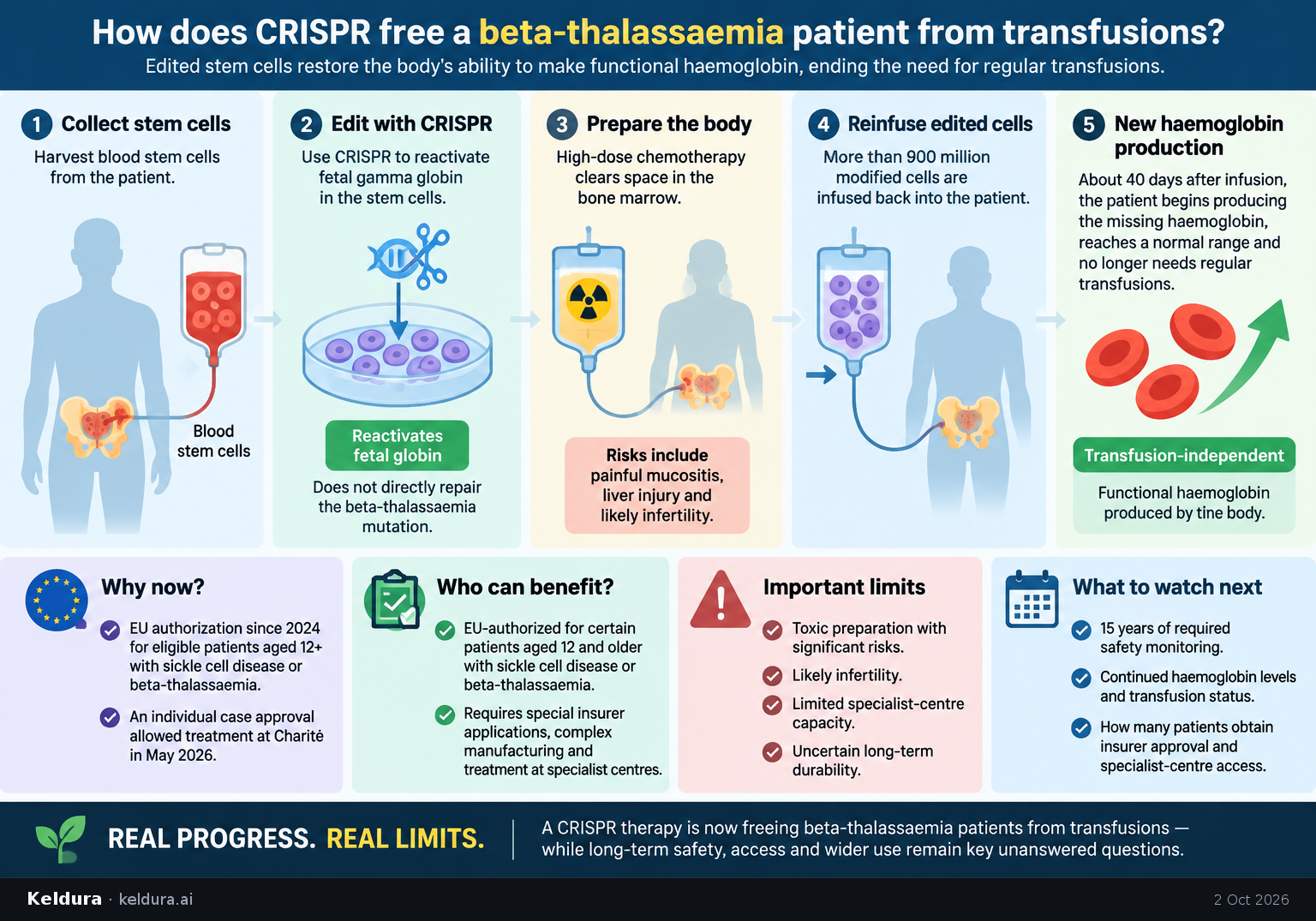 Visual Cheatsheet Version A for How does CRISPR free a beta-thalassaemia patient from transfusions?. Full text follows for assistive technology.