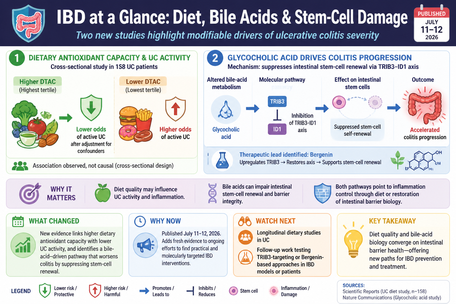 Cheatsheet: New IBD studies point to diet, bile acids, and intestinal stem-cell damage